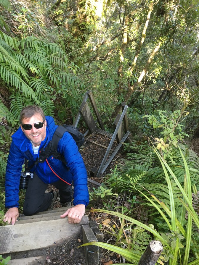 89145737-CC54-4024-86AD-22D0E253539F