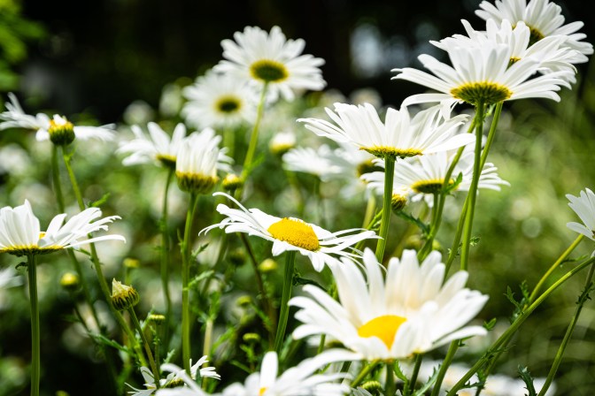 8C30347F-E69E-4217-AF68-C716E39F3F9A