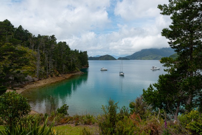 8F9F4732-066B-4C50-A79E-C3F89D3DC9EC