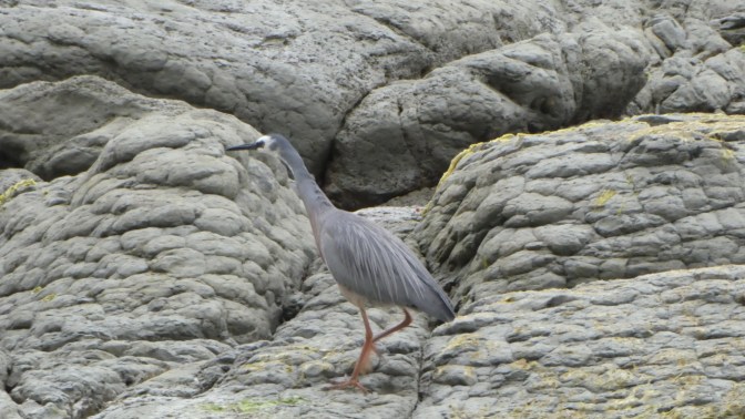 8FB8107D-F108-4938-9452-395B1D08546D