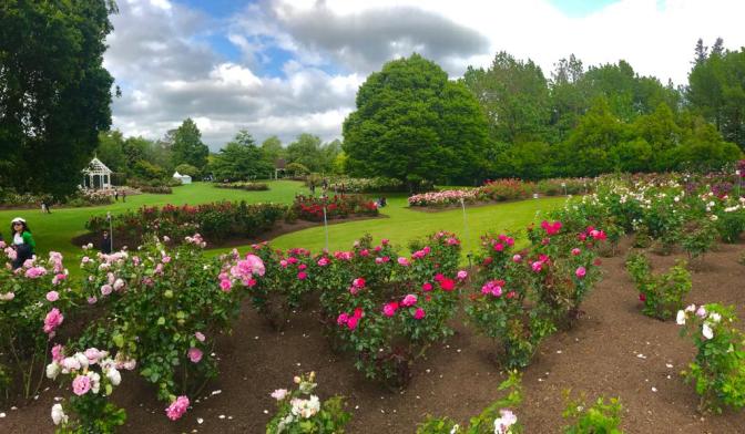 8FC30789-EBCE-4A16-92A3-9D44D4D4BB42