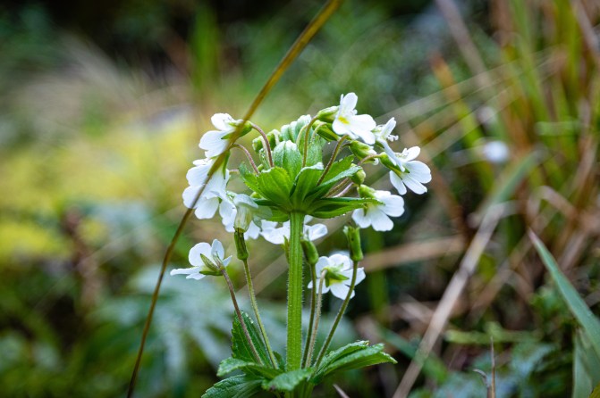 92BF9602-5A9C-46FA-97BA-25006E9E6E51