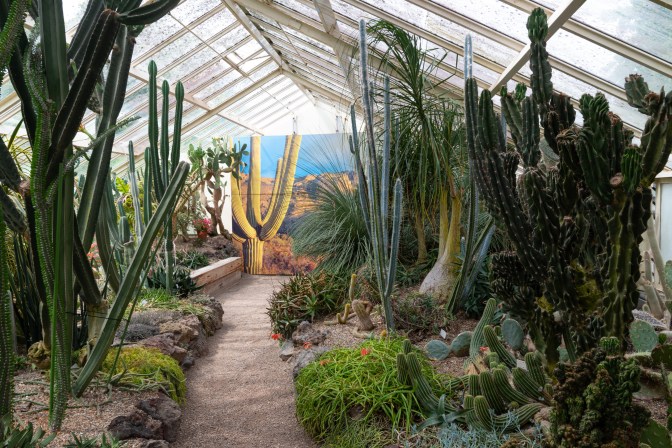 939BE8A7-DDFC-4DA4-A1EF-4464538D1566