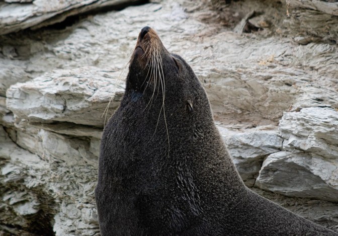 95518ED9-791F-4B18-9BC6-B261314CDE10