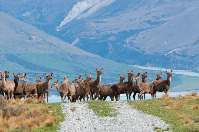 96394814-A52C-43AF-8B74-8B3DEF616AE6