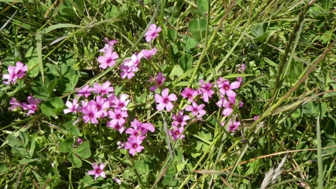 97028058-D9DF-4B90-AB79-E384947DE058