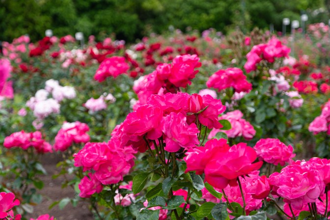 970CCBAB-FCDF-4591-B910-09C64FF7EEAD