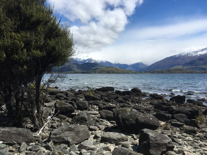 98F6EDD2-4798-458A-96EE-93C454CB4D3B