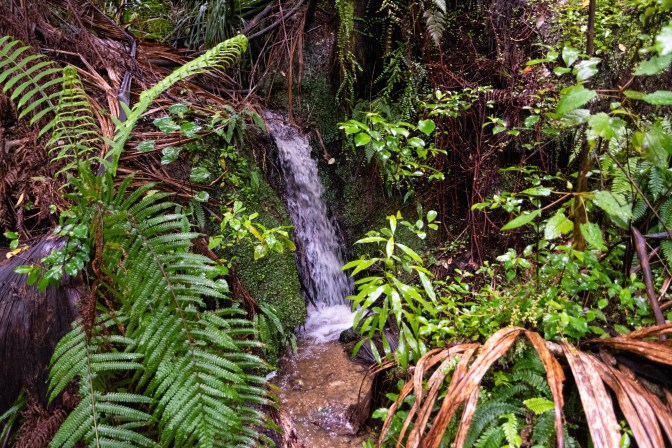 9AE0F902-D3DD-49C2-BA51-41857D60F0F5