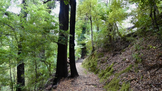 9B036EDC-86F7-48BC-BB56-8C2E644A739C