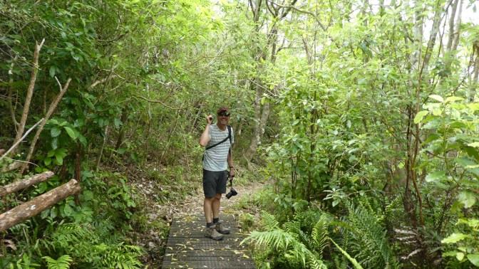 9B0B9354-033A-4837-8758-7C5BEE12CD90