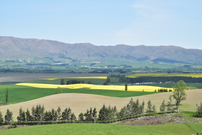 9E4B8CEC-ADA4-4929-AFC6-2459E8F9442B