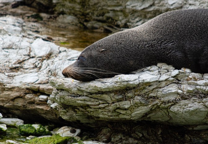 A12DCE57-0184-4460-B70E-173E3D30C748