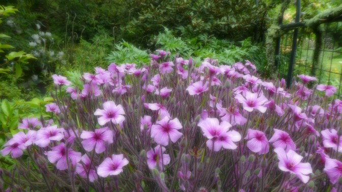 A1E424A6-A2DE-44E9-B537-2DB526CDC52D