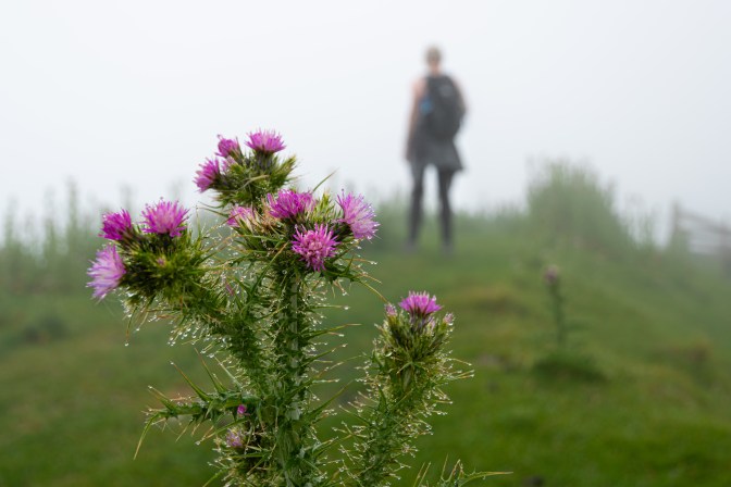 A1EE75B2-83DE-4B35-967F-C32A7CE85116