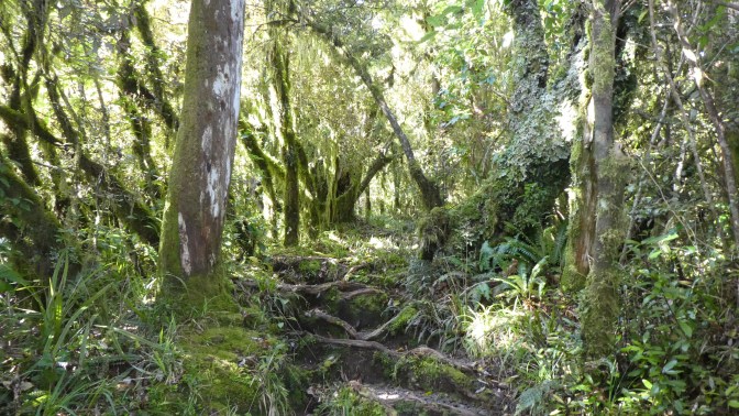 A23615EB-8246-43D5-B791-0F2D243068C4