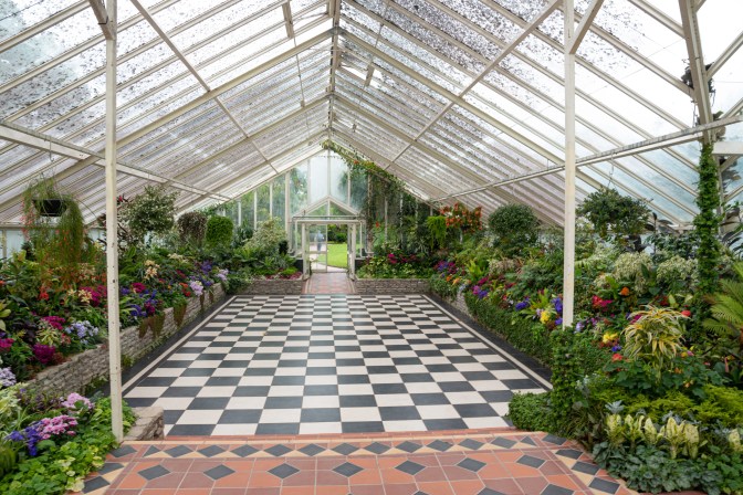 A581DE81-78C8-43F0-AA2A-52A6345DF7C2