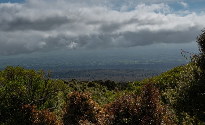 A76AF766-D438-4AA0-8AC6-07E1FACC287A