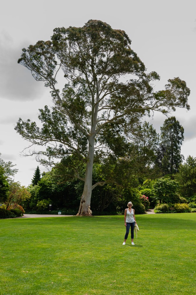 AC3F52C9-5A1E-4459-947F-5C8BF897E12E