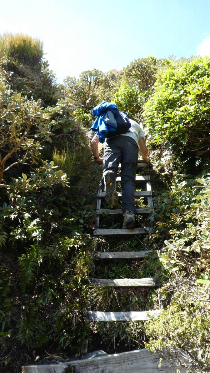 ADF21F78-D7A3-43A0-B79B-6209D1A60D71