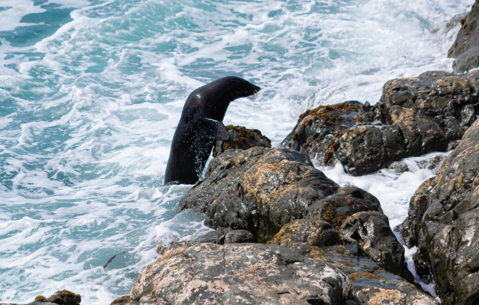 B0594A1C-797A-44FB-9858-2E877D310577