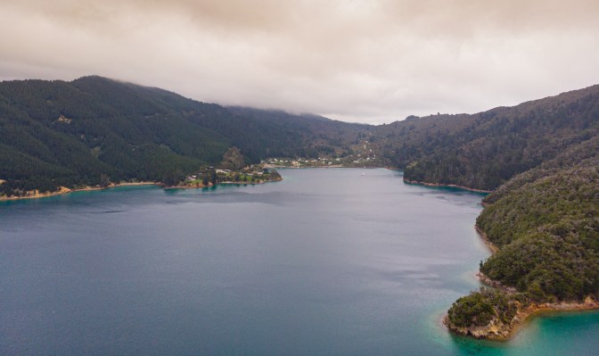 B15045D0-B6EE-49C2-9F13-71B35913850D