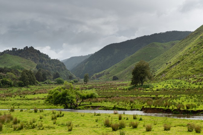 B2553B37-C308-45B9-8F91-B1006277FC50