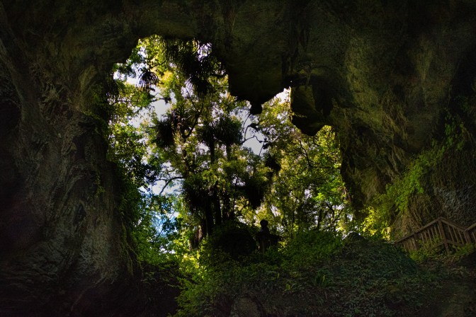 B4D54E2B-FA27-4DAB-BD2E-208B683056A8