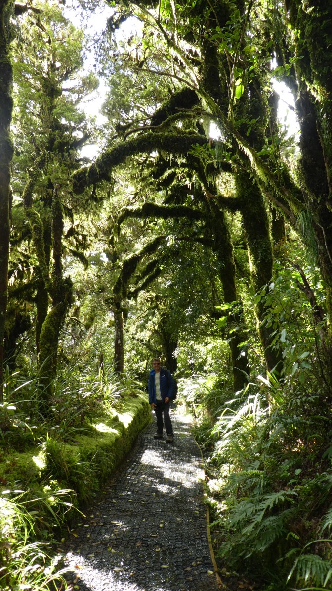 B5EB99DE-AD87-42F8-9145-C854EC346E90