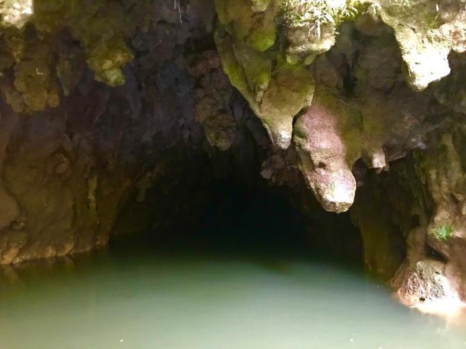 B8D2940F-176E-4757-906A-17F7CF7F0DD1