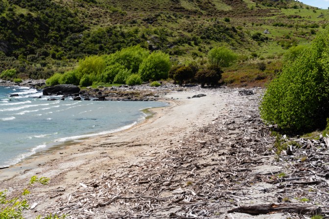 BDD54F88-9A41-4208-BDD2-13E71095C963