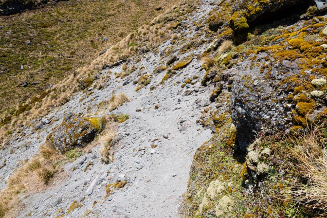 C0B9C47D-703B-428E-BC42-7A2545C56E63