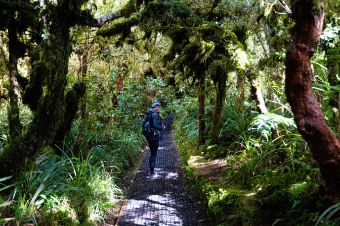 C6793675-C68B-4738-8EE7-6C7E861289BE