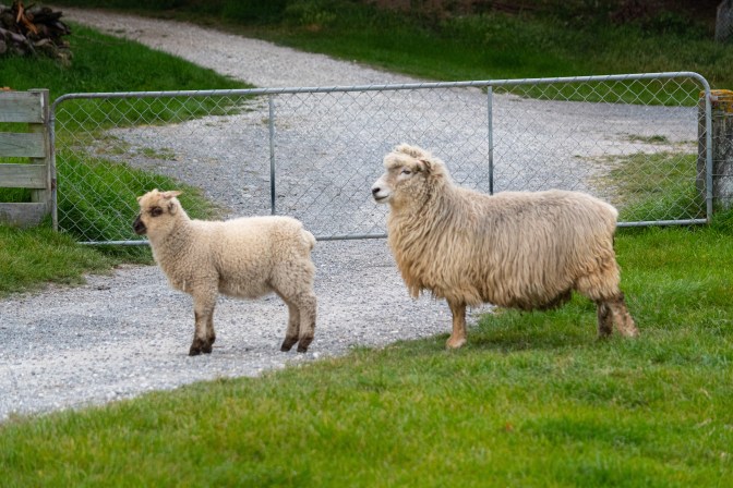 C8EA4532-6265-4DC9-960E-DD1E9380649C