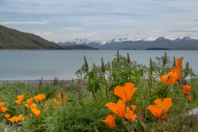 C93339C6-366D-48DE-AB32-43D7DC260B9F