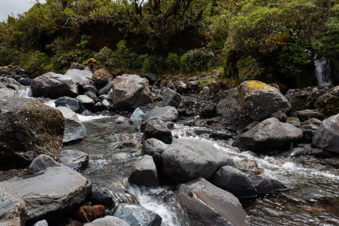 CBEA9116-020E-4DEE-9847-89622DEFB966