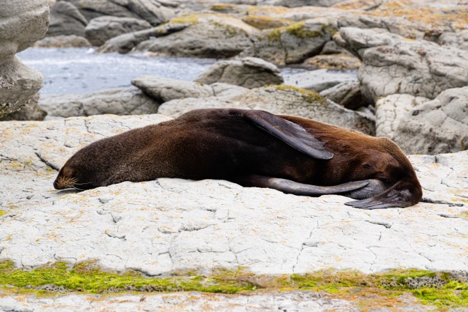 CBEF0557-2791-4D2C-A9AB-4D2B18E6FB68