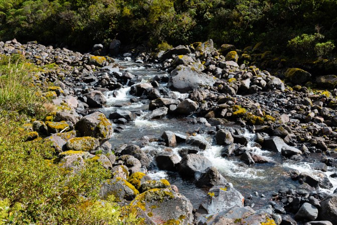 CBF8132B-62E6-4902-9E1F-DBA206268357