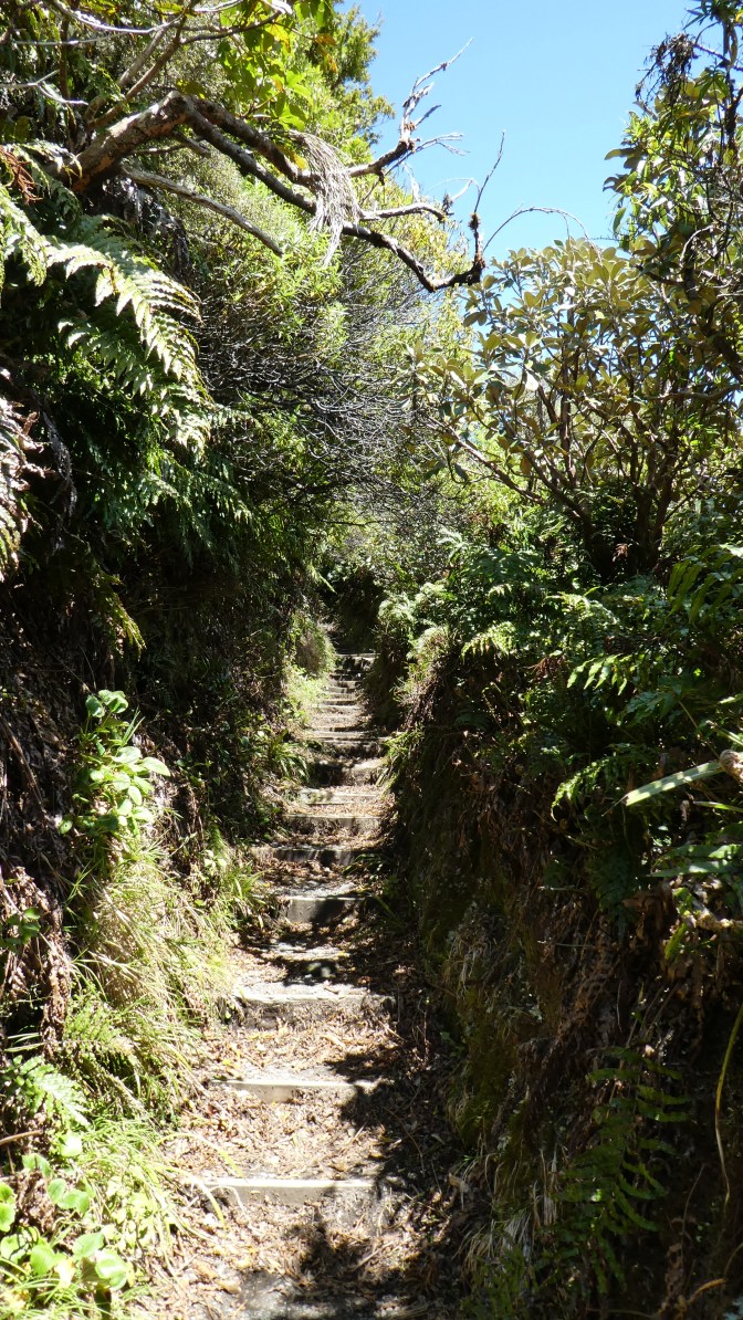 CC529B69-9515-465C-A49C-2D9D49006FBE