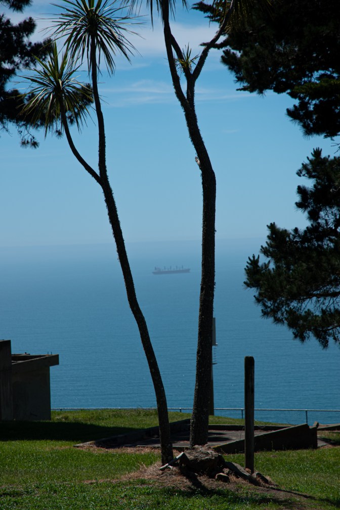 CDB201DF-CF37-49DA-A491-2F3598BDDACE