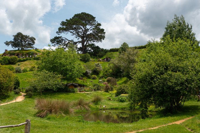 D039575F-DE72-4568-98EA-4F1E49367D69