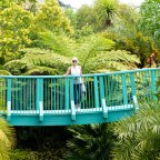 Gardens of the World Amongst Other Delights!