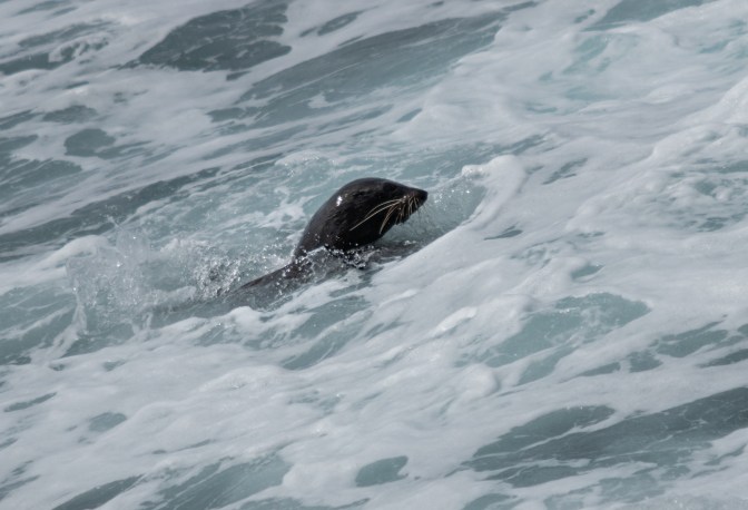 D9181078-114F-4853-9919-58A97E99C845