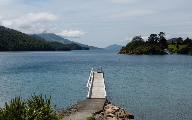 D95CDB47-8E78-4A6F-869D-4E08A37D9372