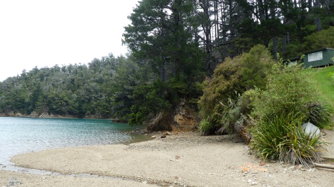 D9732726-991B-47FD-BB0C-431A23C8E16B