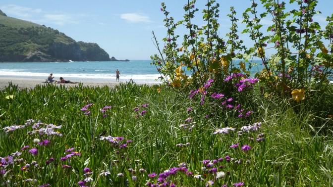 DF6D3E1B-6C37-4A7B-A27D-A7D871AABC48