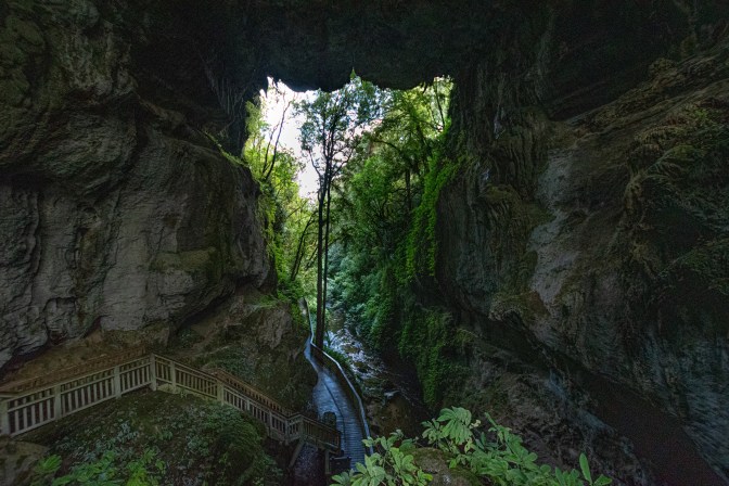 E2137F44-1F54-444A-87CB-85CAEABBD32E