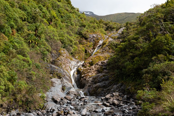 E4F97D0E-BC98-4338-BF22-C6F78BE30E55