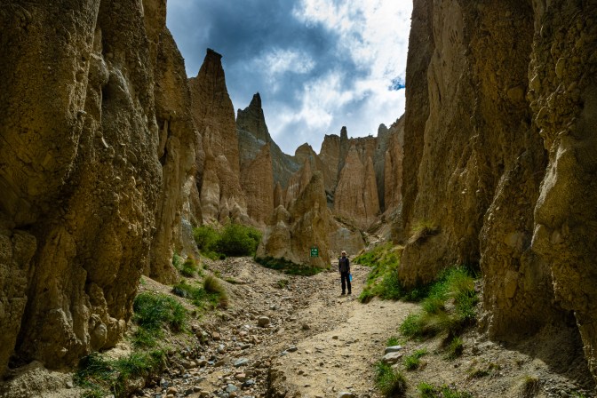 E7397000-09DC-4C13-BC9C-F2E207A45315