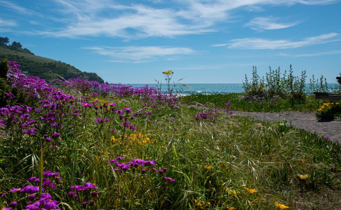 E92767F3-A13C-4885-BE02-D51D54ABDE0F